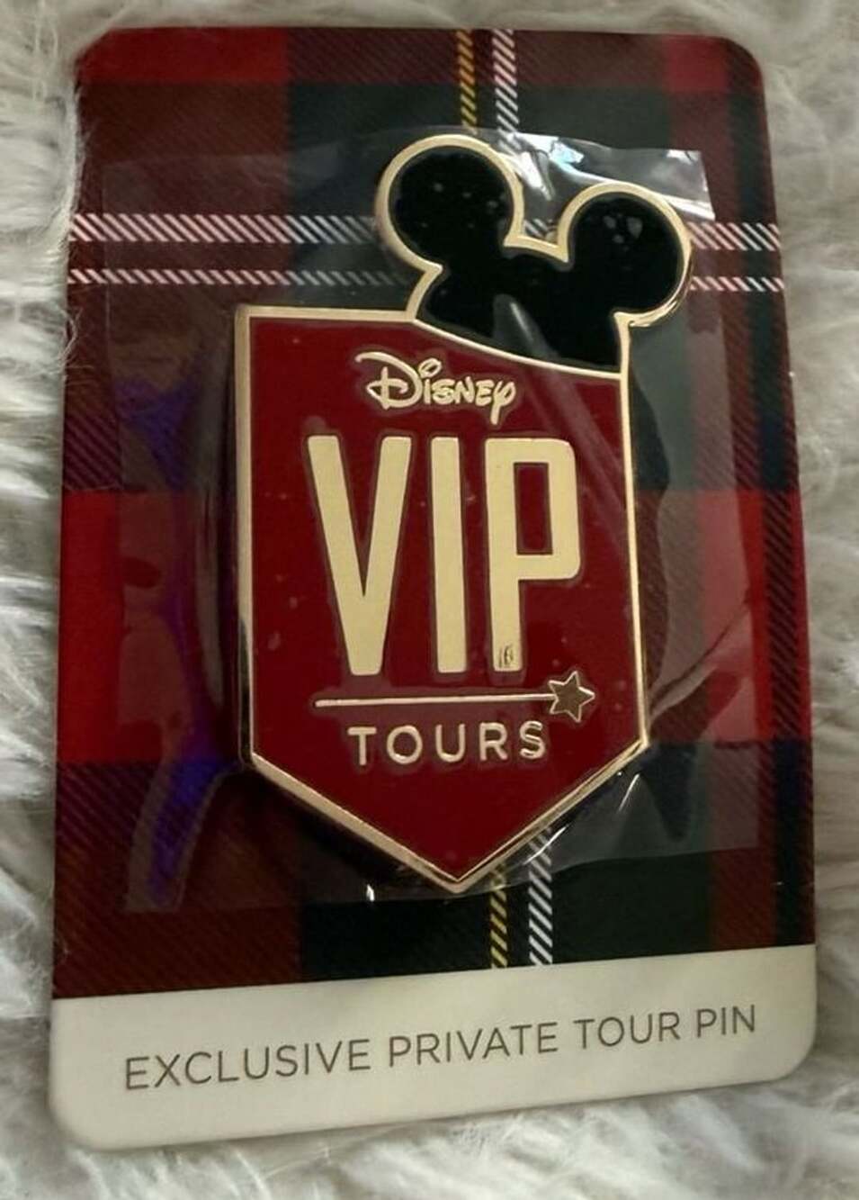 Disney VIP Tours Exclusive Private Tour Pin